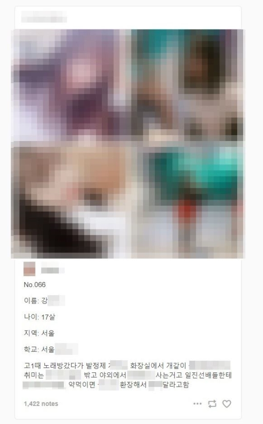 텀블러 제2의 소라넷…어느 수준의 처벌까지 가능할까