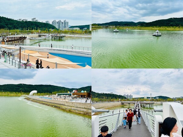대전 갑천 생태호수공원의 전경. 습지원과 산책로가 조성돼 시민 휴식 공간으로 개방됐다. [사진=굿모닝경제 조준영 기자]