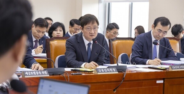 이찬진 금융감독원장이 21일 국회에서 열린 2025년도 정무위원회 국정감사에 출석해 의원 질의에 답하고 있다. [사진=연합뉴스]