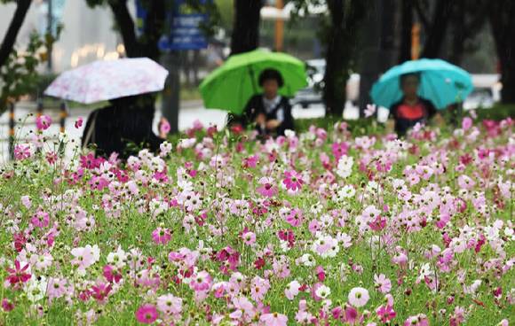 [사진=연합뉴스]