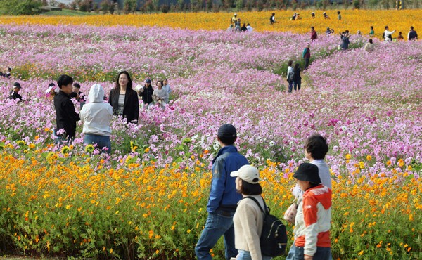 [사진=연합뉴스]