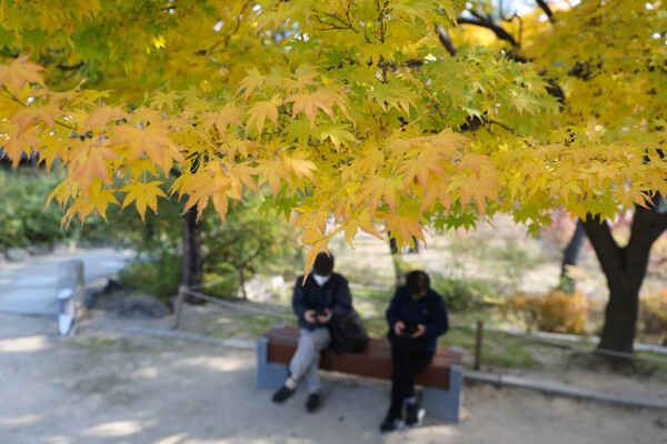 [사진=연합뉴스]