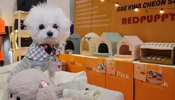 19일 국회에서 반려동물 진료비 부담 완화를 위해서는 펫보험 활성화가 필요하다는 주장이 제기됐다. [사진=연합뉴스]