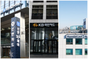 카드사, 6년째 수익성 정체…신사업으로 돌파구 마련 - 뉴스 썸네일 이미지