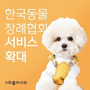 더피플라이프, 반려동물 장례서비스 전국 확대 - 뉴스 썸네일 이미지